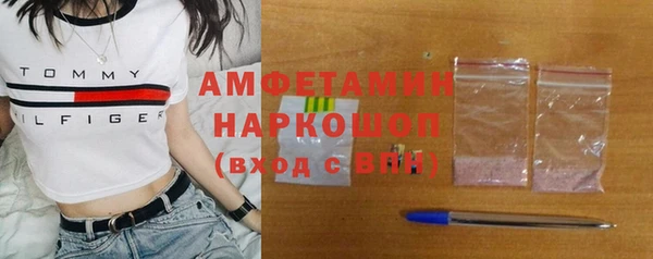 прущие грибы Переславль-Залесский