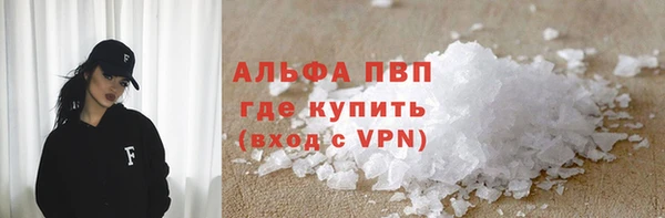 прущие грибы Переславль-Залесский