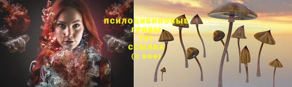 spice Пестово