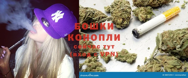 spice Пестово