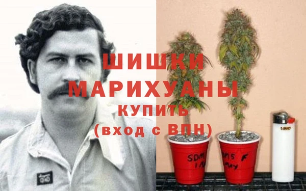 ECSTASY Пересвет
