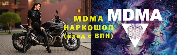 прущие грибы Переславль-Залесский