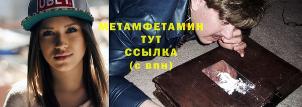 прущие грибы Переславль-Залесский