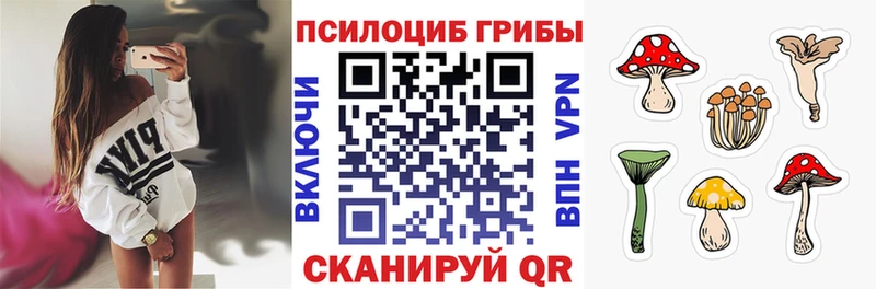 Псилоцибиновые грибы Psilocybe  Фрязино 