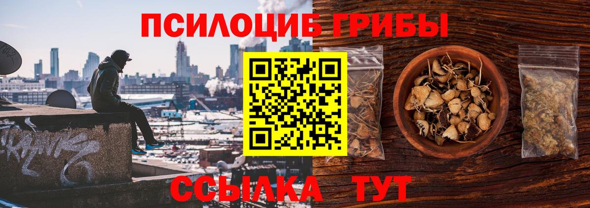 Фрязино  Псилоцибиновые грибы MAGIC MUSHROOMS  Псилоцибиновые грибы Magic Shrooms  Вход с VPN 
